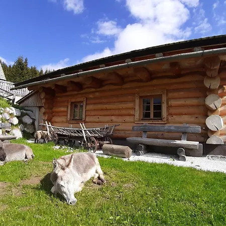 Tatil Evi Schoenberghuette Lachtal