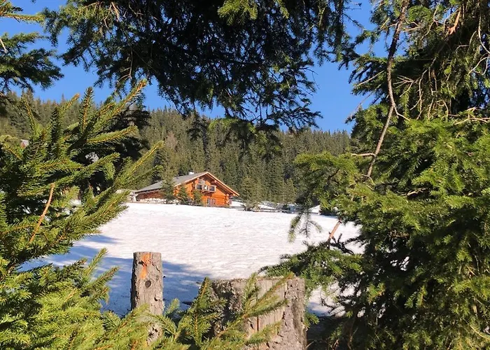 Dom wakacyjny Schoenberghuette Lachtal