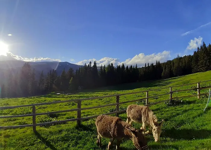 Vakantiehuis Schoenberghuette *