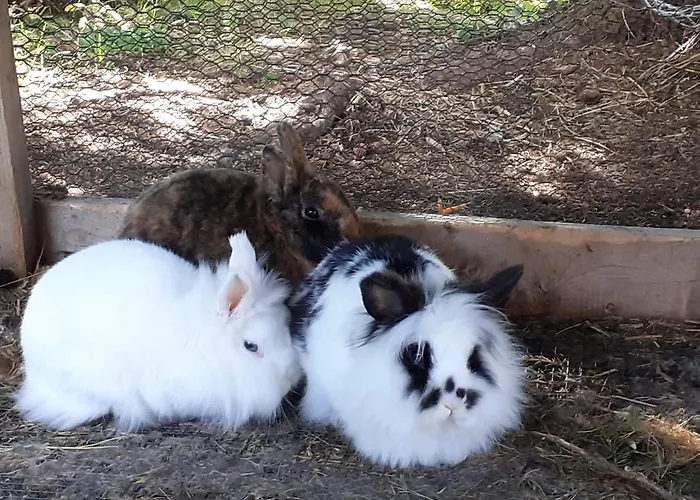 別荘 Schoenberghuette *